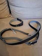 Hunter halsband leine gebraucht kaufen  Windhagen