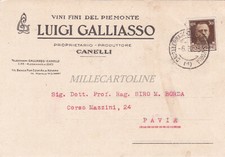 Canelli vini fini usato  Roma