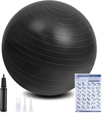 Flintronic exercise ball for sale  BRIGHTON