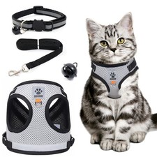 Pettorina gatto antifuga usato  Italia