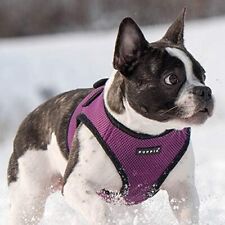 Puppia hundegeschirr lila gebraucht kaufen  Deutschland