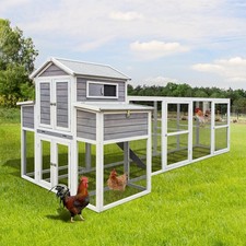 Yopto 150 chicken for sale  Brentwood