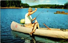 Postcard indian river for sale  Durham