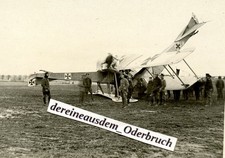 E51 foto wk1 gebraucht kaufen  Letschin