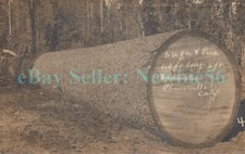 Placerville california sugar for sale  Wappingers Falls