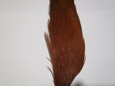 Metz cock neck for sale  ABERGELE