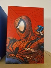 Spider man saga usato  Castel Maggiore