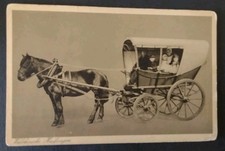 Postcard horse buggy for sale  POTTERS BAR