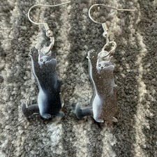 Russian blue cat for sale  Bakersfield