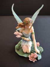 Faerie glen lillylotus for sale  Enfield