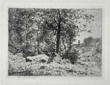 Drill wood trees d'occasion  Expédié en Belgium