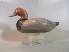 Red head duck for sale  Island Heights