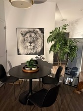 Dining set black for sale  West New York