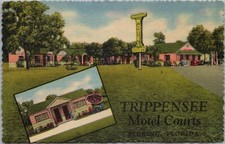 Sebring florida postcard for sale  Burnsville