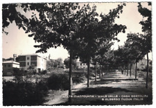 Volta mantovana viale usato  Vicchio