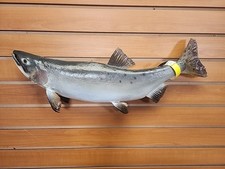 Jbh22 trout fish for sale  Hill City