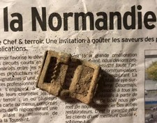 Reliquia fibbia attrezzatura usato Reliquia fibbia attrezzatura usato  Italia