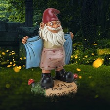 Naughty garden gnome for sale  Dayton