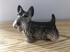 Scottish highland terrier for sale  SPALDING