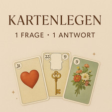 Dienstleistungen gebraucht kaufen  Salzbergen