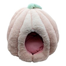 Pumpkin style indoor for sale  BELFAST