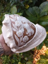 Cameo conch shell for sale  Saint Augustine