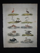 Animal print antique for sale  Lowell