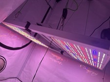 Caluma force led gebraucht kaufen  Neustadt am Rübenberge