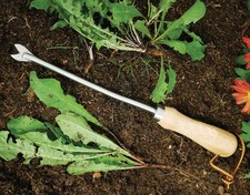 Löwenzahnstecher unkrautstech gebraucht kaufen  Peine