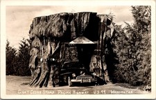 Rppc giant cedar for sale  Lewistown