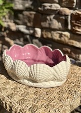White purple shell for sale  Durham