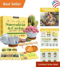 Deluxe succulent cactus for sale  Dallas