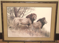 guy coheleach for sale guy coheleach for sale Orlando