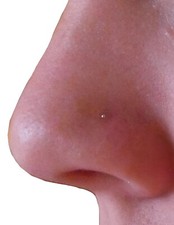 Tiny nose stud for sale  NUNEATON