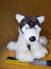 Jaag wolf pup for sale  Scottsdale