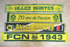 Lot echarpe supporter d'occasion  Arles