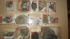 Kleine steinsammlung dem gebraucht kaufen  Söhlde