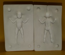 Julie polymer clay for sale  Auburn