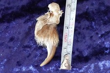 Alter charivari anhänger gebraucht kaufen  Hurlach