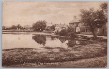 Ashtead fish pond for sale  GLASGOW