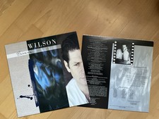 Brian wilson sire gebraucht kaufen  Gera