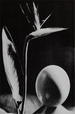 Vtg man ray for sale  Woodstock