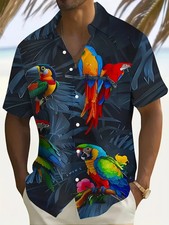 Men tropical parrot for sale  GLASGOW