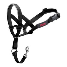 Dressurhalsband hunde company gebraucht kaufen  Bad Camberg