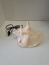 Vtg conch shell for sale  Swansboro