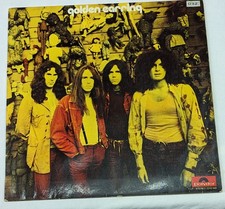 Riginal vinyl golden gebraucht kaufen  Sulzemoos