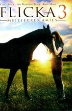 Flicka meilleures amies d'occasion  Hennebont