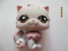 Petshop persan cat d'occasion  Expédié en Belgium