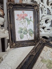 Landhausstil rosen iod gebraucht kaufen  Rinteln