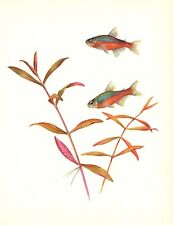 Vintage tropical aquarium for sale  Harborton